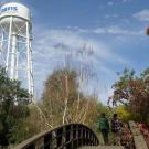 Two students cross over a bridge in the Arboretum on the UC Davis Campus. The UC Davis watertower stands tall in the background.